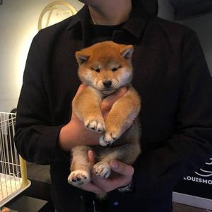 妻与妈妈的巨乳
